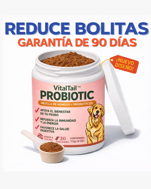 Turkey Tail Probiotic